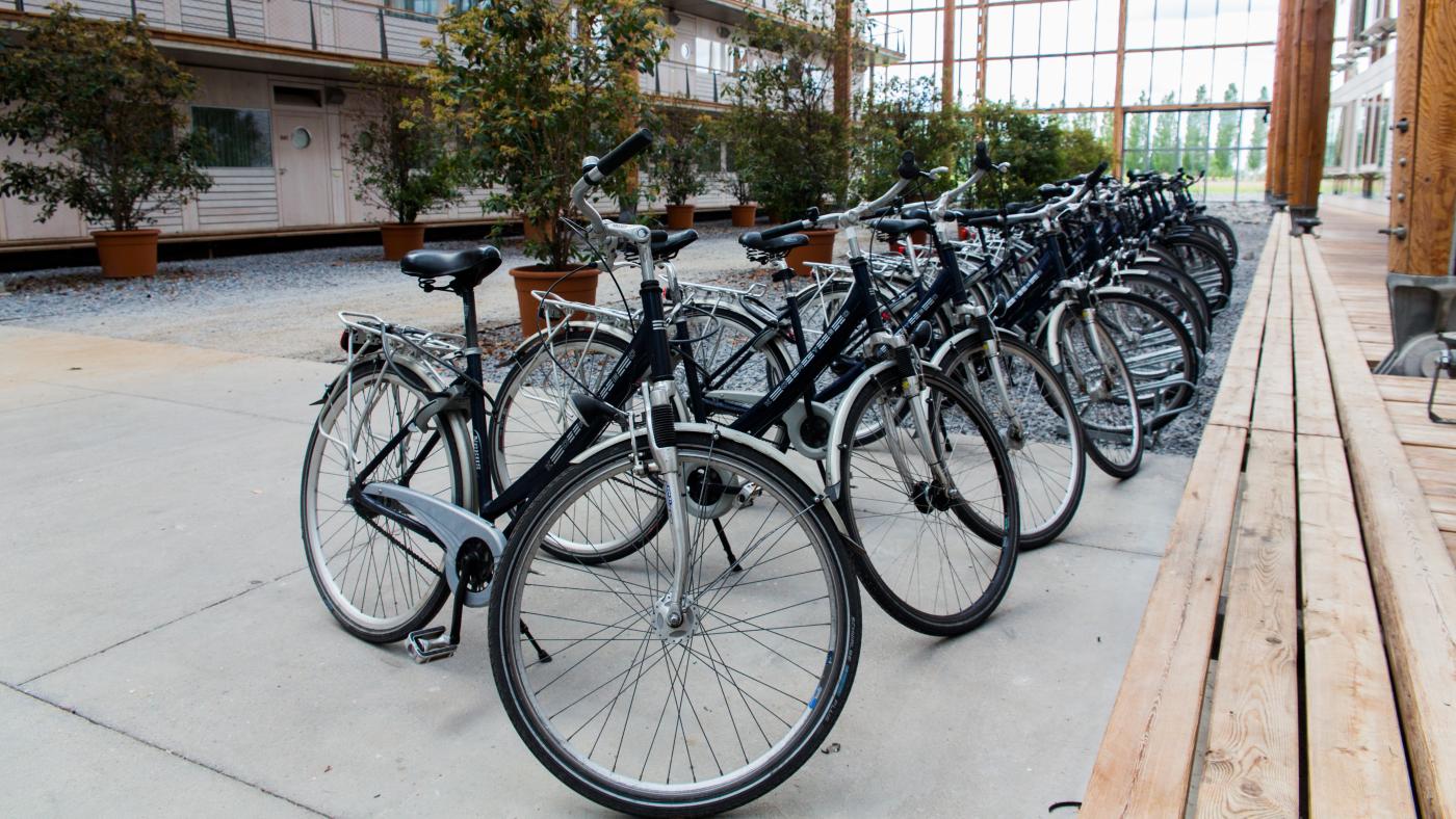 Fahrräder in der Fortbildungsakademie Herne