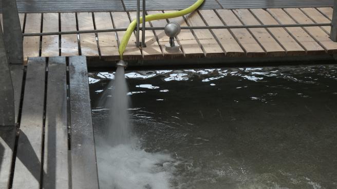 Aus Schlauch strömt Wasser in ein Betonbecken